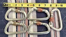 Lot Of 5 Black Diamond Carabiners
