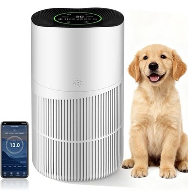 Luftreiniger für großes Schlafzimmer zu Hause, CADR 403M³/H, Alexa-fähig, HEPA-Filter mit