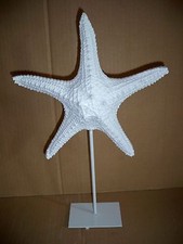  Seestern Weiß Dekofigur  Impressionen Living  Metall + Polyresin 38x23 cm 