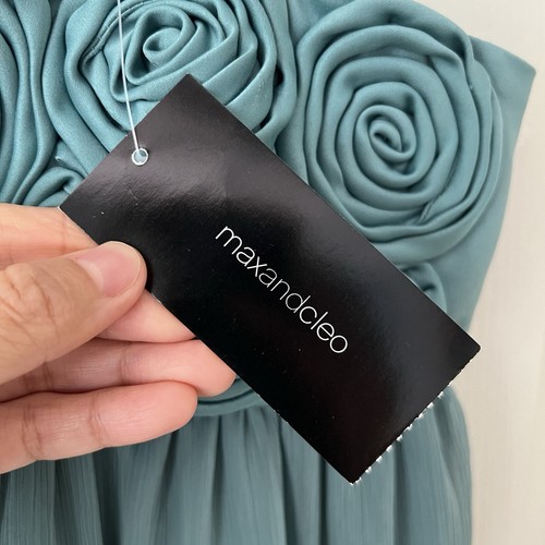 Max &Cleo Womens Dress 4 Amazon Cocktail Chiffon Rosette Sheer Silk Summer Party - Picture 8 of 20