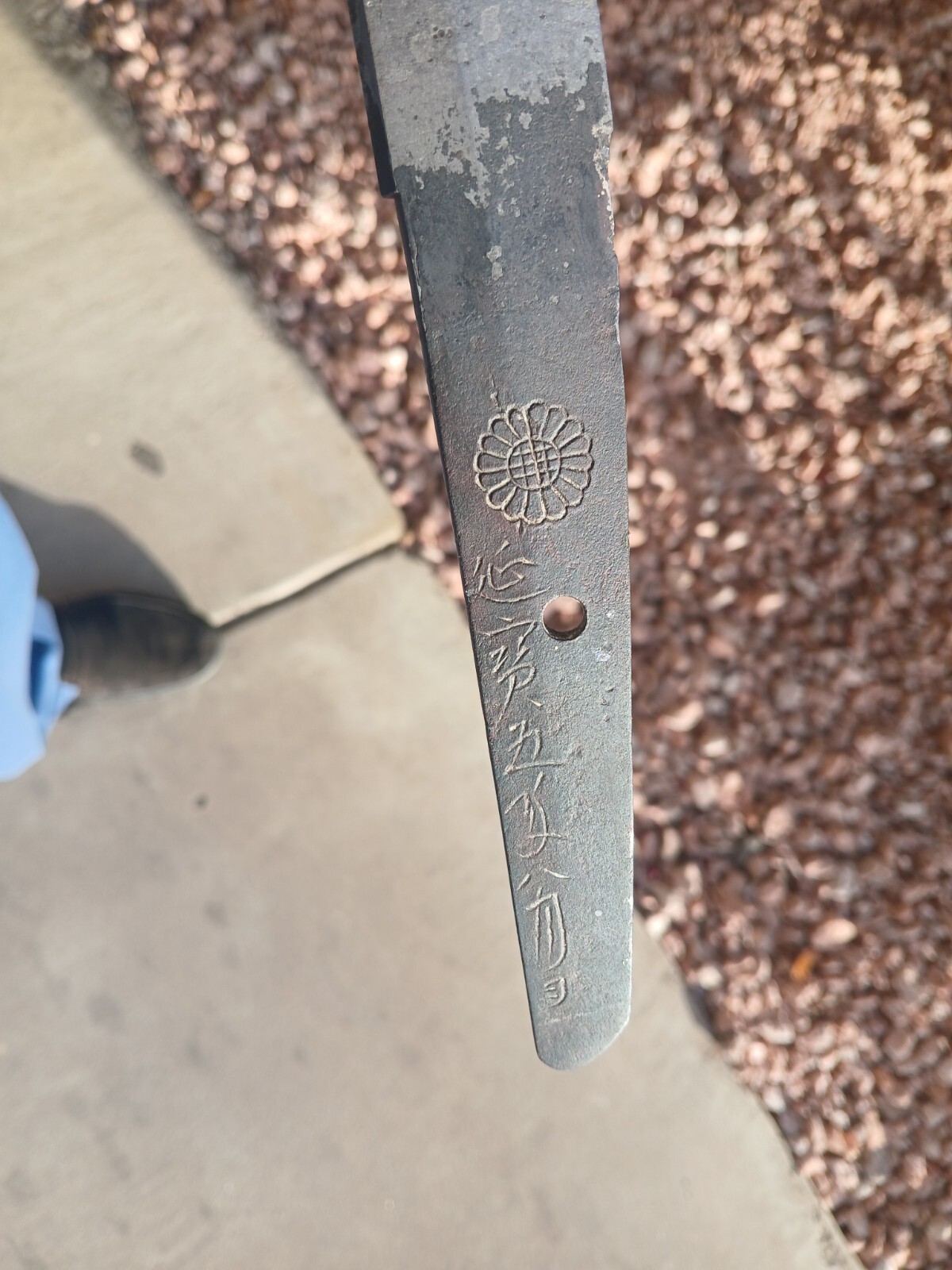 Rare Japanese Sword wakizashi Inoue Shinkai Oct 1677 With Chrysanthemum