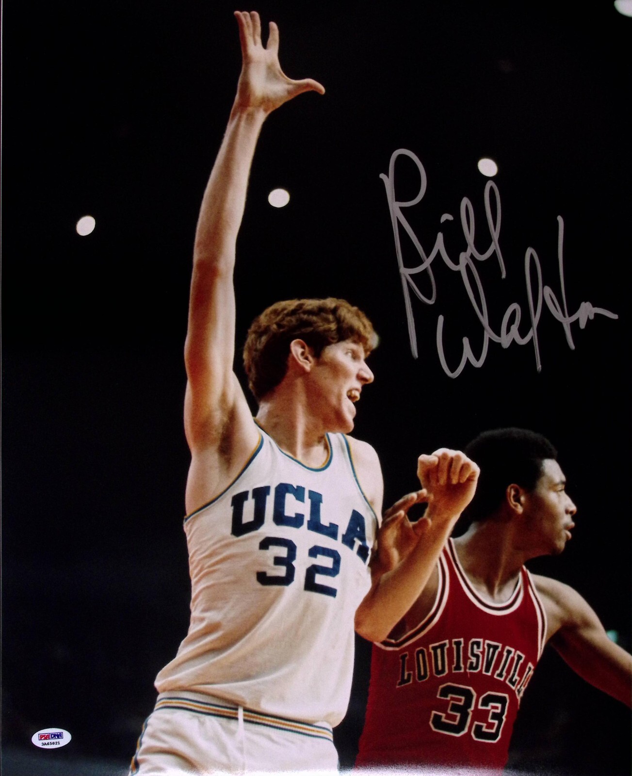 Bill Walton Autographed Signed UCLA Bruins Basketball 16x20 Photo PSA/DNA COA HOF 