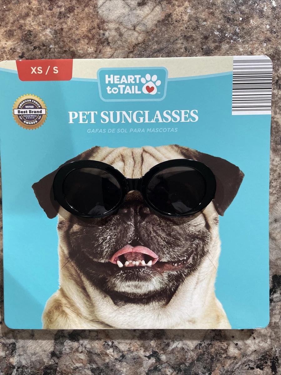 Best sunglasses top for dogs