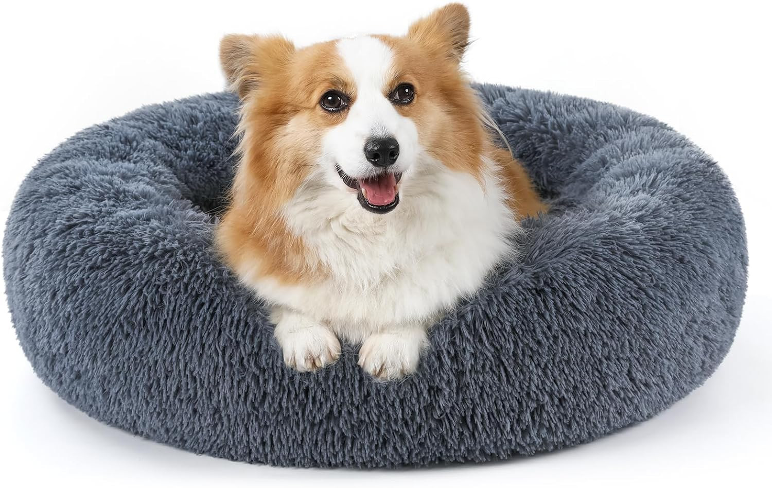 Rabbitgoo Cat Beds for Indoor Cats, 20 Inches Cat Bed Machine Washable, Fluffy r