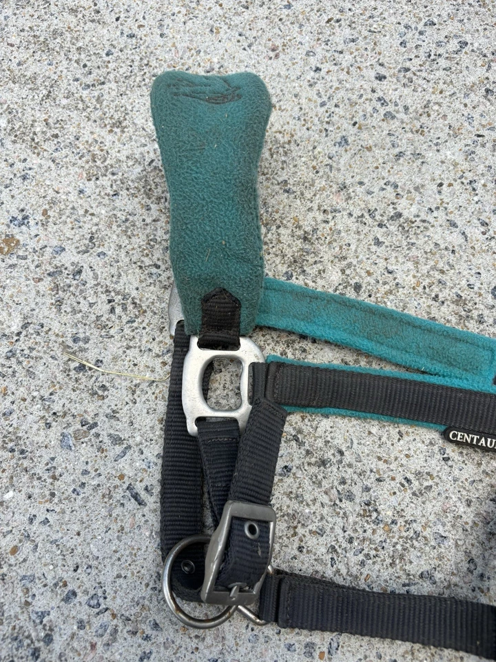 USED Centaur Breakaway Halter - Cob Size But Fits Large - Image 2 of 4