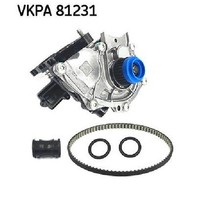 Wasserpumpe MotorküHlung FüR Seat Tarraco KN2 2.0 18 Bis 26 SKF Dkya 06K121011