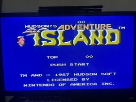 Adventure Island (Nintendo Entertainment System, 1988) NES Authentic Tested