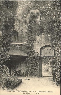 Montrichard Ruines du Chateau Le Tivoli