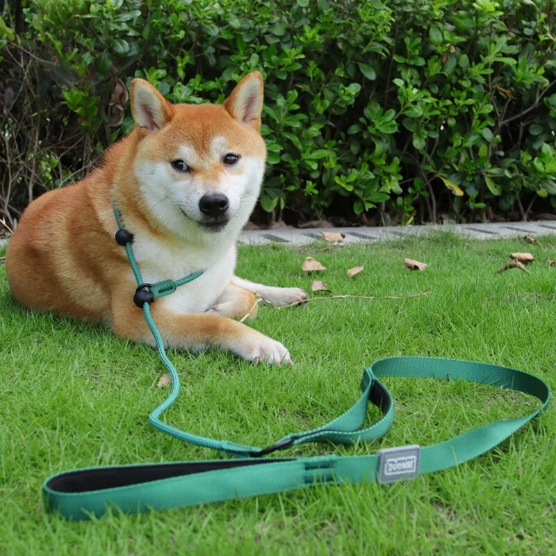 66in Slip Lead Dog Leashs Nylon Rolled Rope Pet Collar Obedience Recall Training