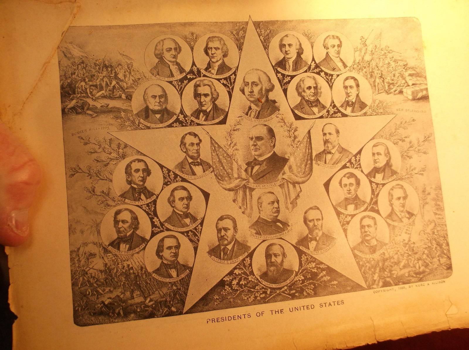 Picture 7 of 12