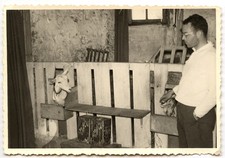 Homme bergerie mouton brebis biquette - photo ancienne an. 1950