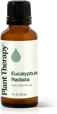 Eucalyptus Radiata Essential Oil, 30 mL, pure undiluted for aromatherapy
