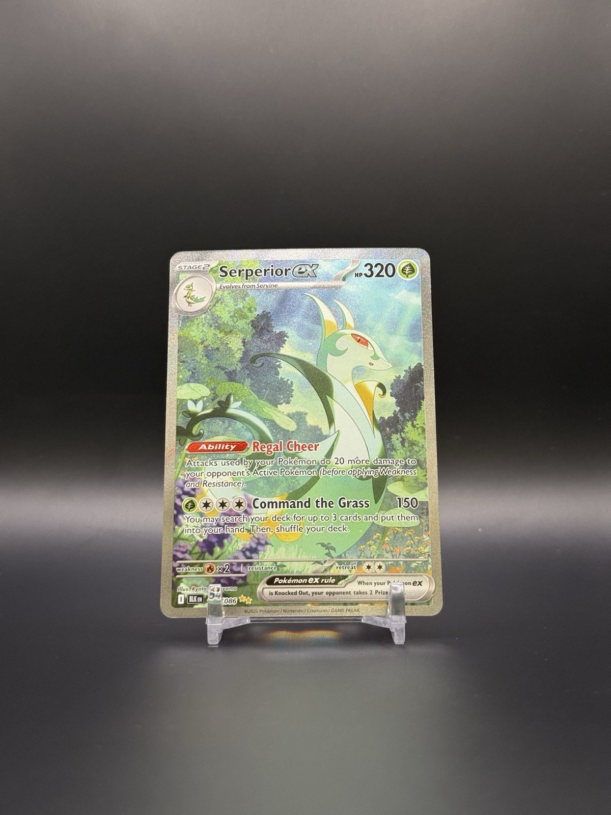 Pokemon Cards Serperior ex 164/086 Black Bolt Special Illustration Rare