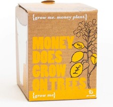 Money Plant Grow Kit Novelty Gardening Gift Seeds Starter Pot Fun Present