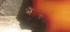 Bild 11 von 15