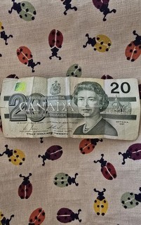 20 Dollar Canadian Note Collectable