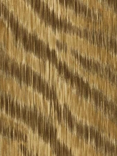 Contemporary Multiple Shades of Brown Zebra Skin Wallpaper 5522762