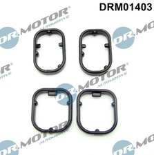 Dichtungsset, �lk�hler Dr. Motor Automotive DRM01403  f�r OE 11428507627