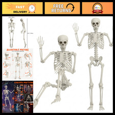 5.4FT Life Size Posable Skeleton - Realistic Bones, Movable Joints, Halloween De