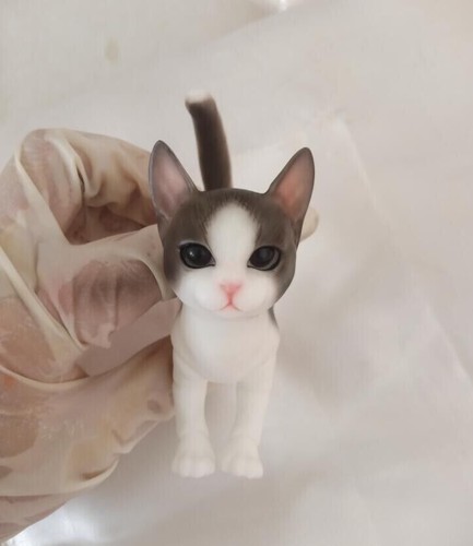 Muñeca 1/8 BJD Iple Mascota Gato Manchado - Maquillaje facial gratis + Maquillaje corporal + Ojos - Imagen 10 de 10