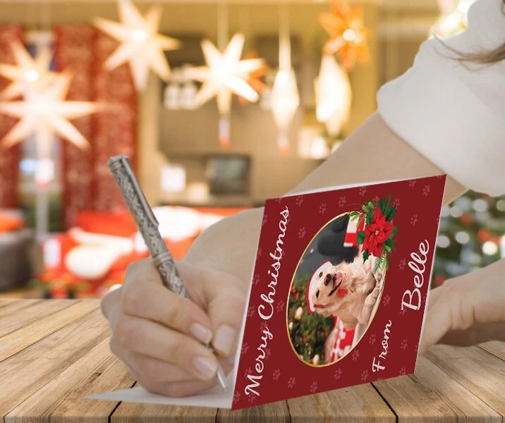 Personalised Photo Christmas Card From Your Pet Pets Dog Cat Rabbit Hamster - Image 4 of 4