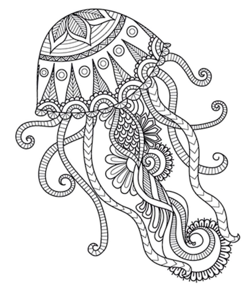 Thumbnail - Natur Roots