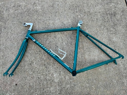Diamondback Expert Chromoly Road 