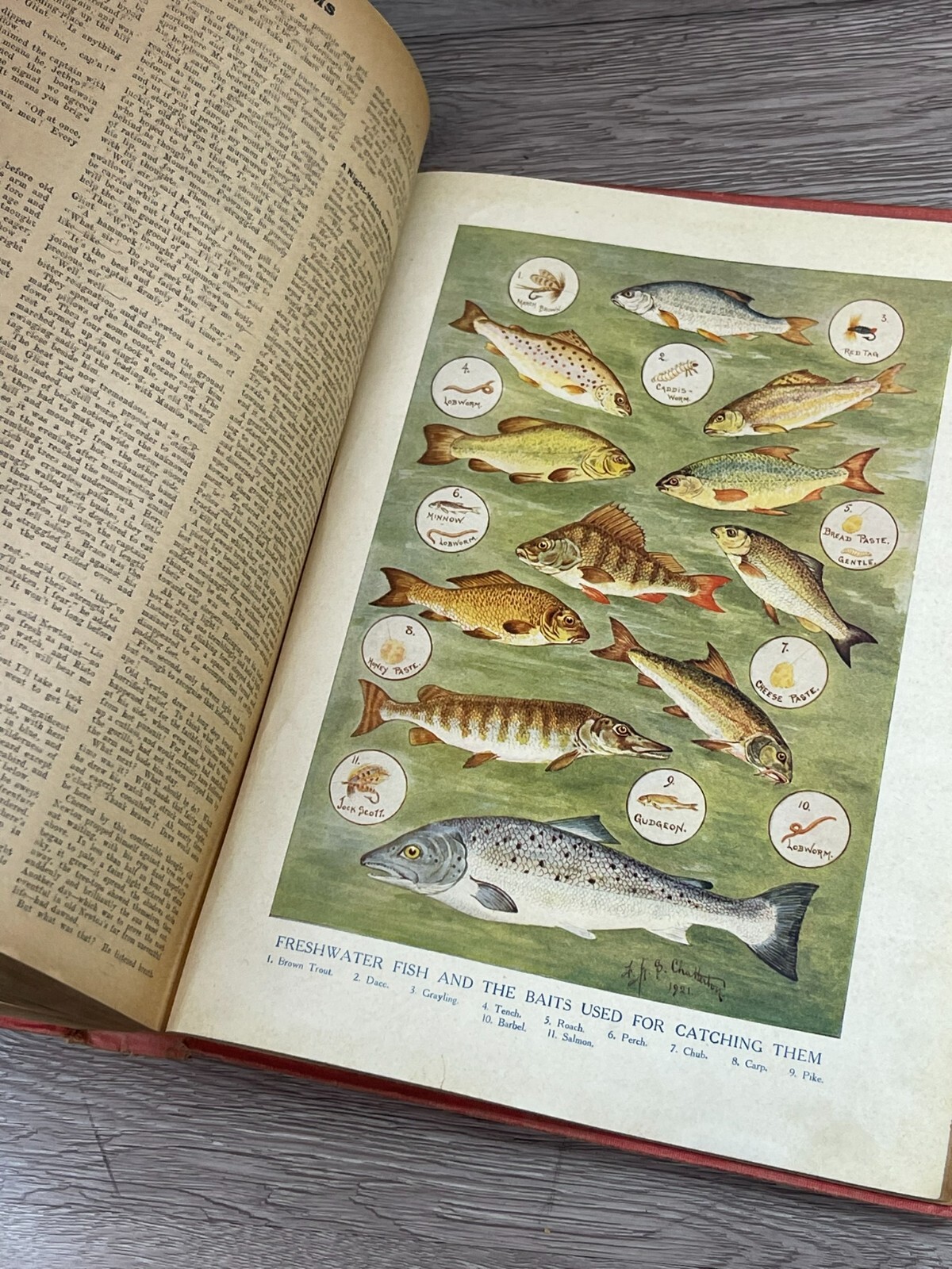 Picture 18 of 23