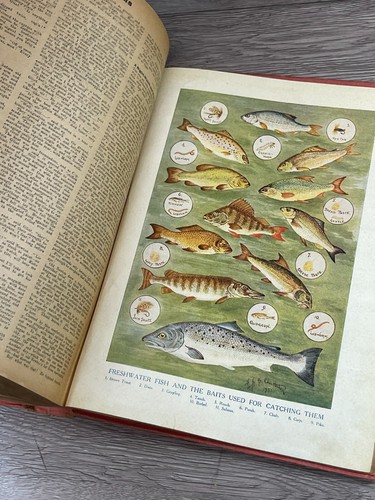 CHUMS 1921 ANNUAL BOOK Full Color Prints Cassell & Co Ltd London NY Toronto - Picture 18 of 23