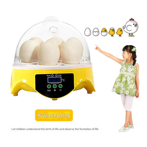 7 Eggs Digital Incubator for Birds Chicken Duck Goose Quail Hatcher|Family Gif8G - Picture 4 of 18