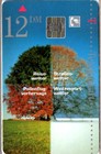 Bild 7 von 7