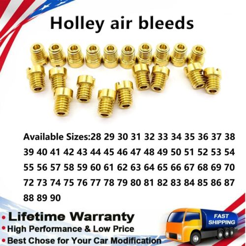 For Holley Carburetor AIR BLEEDS Assortment Kit YOUR CHOICE 28-89 4 EACH 20 PACK - 第 1/8 張圖片