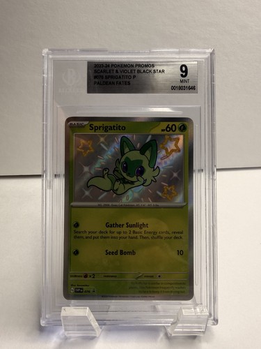 Sprigatito graded BGS 9 for sale on eBay
