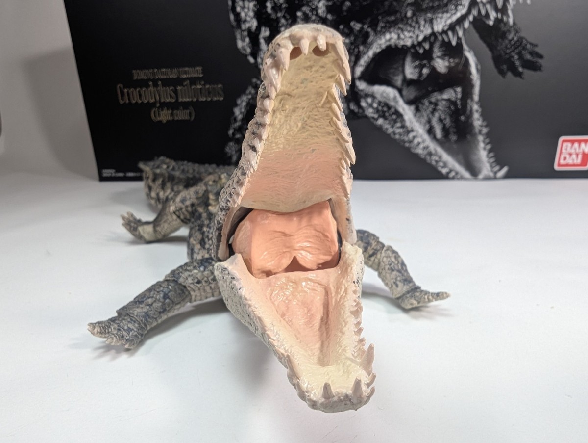NEW* The Diversity of Life Nile Crocodile (Light Color) Figure