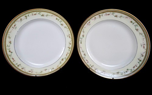 Haviland Limoges Porcelain Yale Pattern 2 Pc Antique 9 5/8" Dinner Plates 1894-