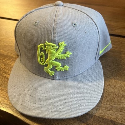 Lebron James Nike True Lion Hat Gray Neon  Embroidered Snapback Baseball Cap