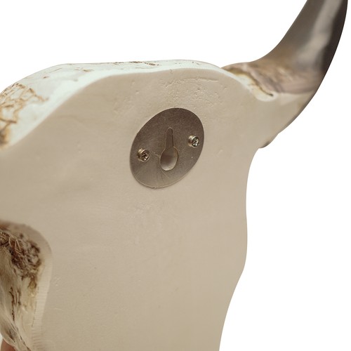 Arte de decoración de pared occidental cabeza de calavera y cuerno cabeza de novillo/toro/vaca/bisonte Tooled del suroeste - Imagen 5 de 5