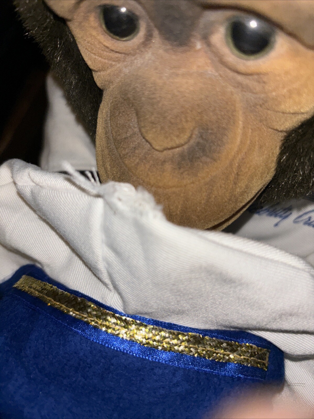 Hosung Celebrity Cruises Monkey Hand Puppet Brown Plush Chimp Toy Full Body 1995