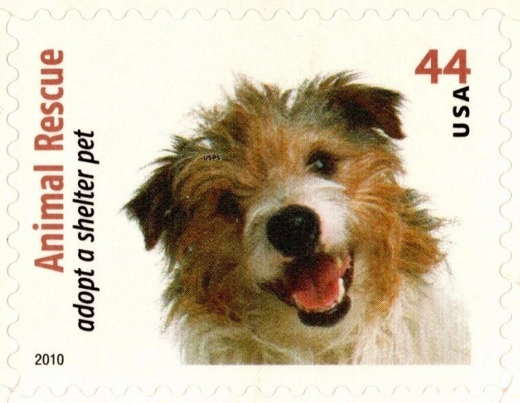 USA 2010 ADOPT A SHELTER PET 20 STAMPS 44 CENT 10 DESIGN SCOTT 4451-4460 MNH - Image 3 of 4
