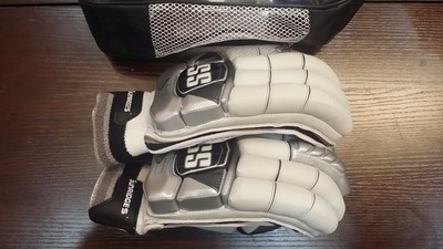 ss test batting gloves