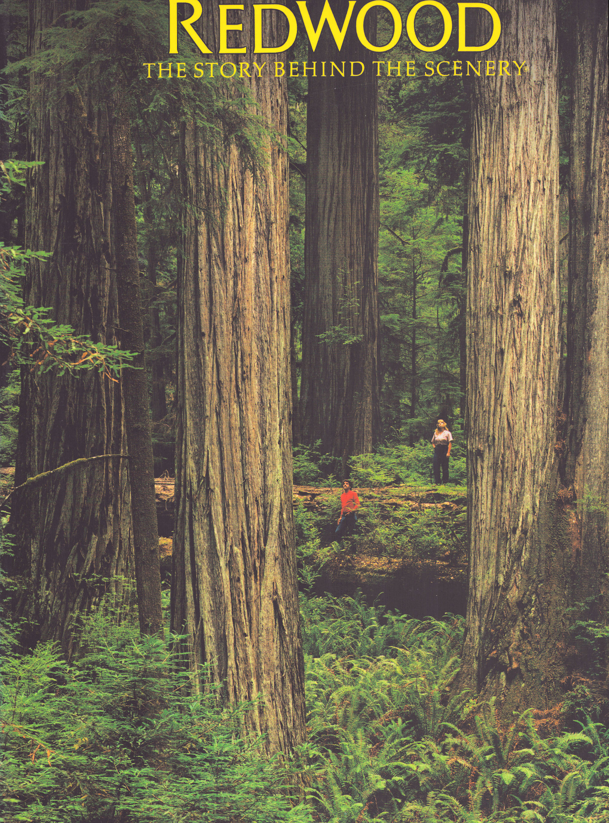 Discover Redwood Trees Fossils Wind Fire Water Flowers Wildlife Coastline Mankind