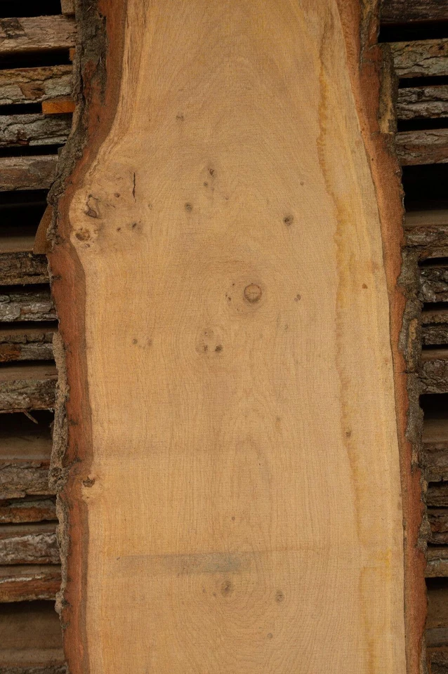 Eichenbrett unbesäumt rustikal Wildeiche Bohlen Regal 27-40x2,8cm, Länge bis 4m - Bild 2 von 4