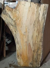 D12 Spalted Beech Wood Live Edge Slab Feather Crotch Figure 46 3/8x26x1 5/8