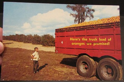 Oranges Off Too Market, Florida, Vintage Postcard 1974