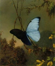 MQ-OP0190 100% Handmade Painted Butterfly In Forest Oil Painting Art On Canvas