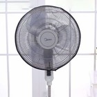Foto 10 di 10