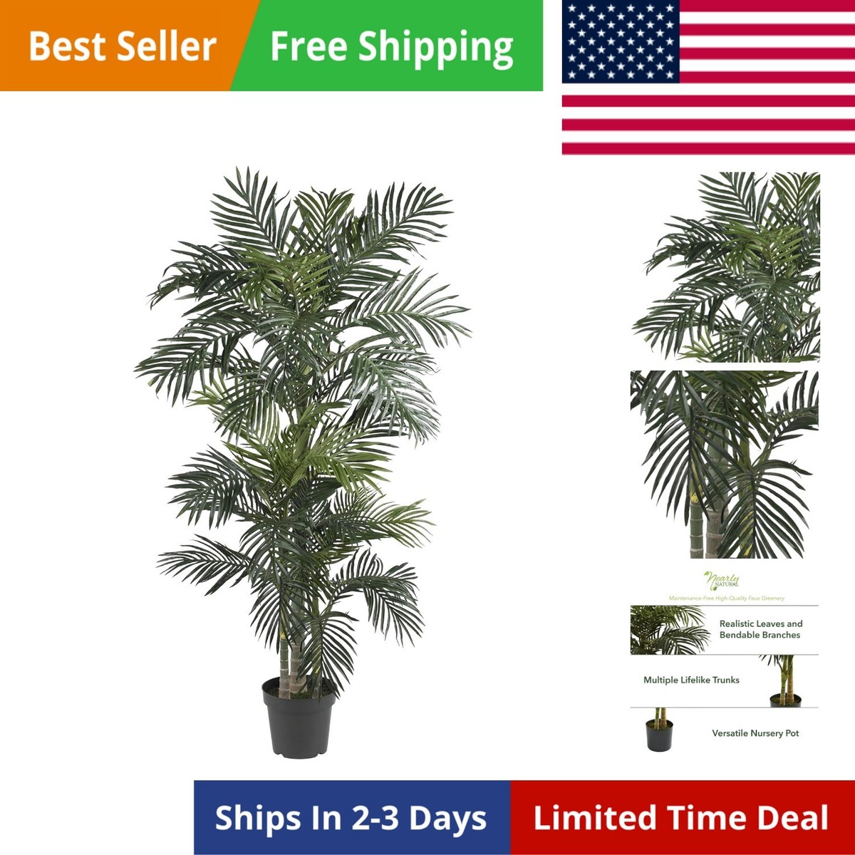 jade snake plant Sansevieria Jade Pagoda