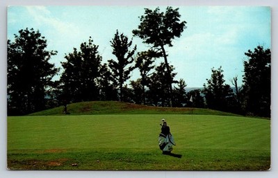 Pipestem State Park WV Golf Course Vintage Postcard Dunbar Printing