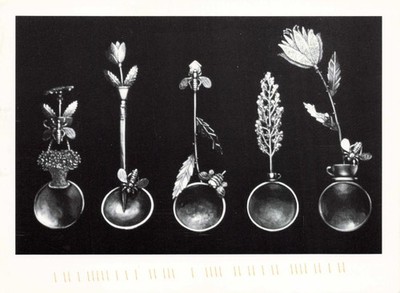 Series of Spoons by Roberta Williamson Artspace Gallery Vintage Postcard Posted