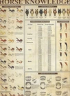 HORSE KNOWLEDGE Color/Face & Leg Markings..  - Tin Sign 12'' X 8'' FREE SHIPPING